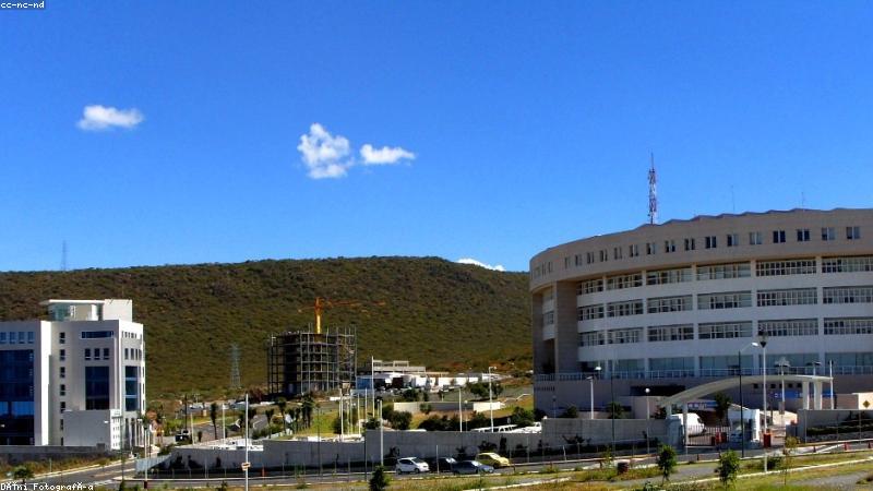 磁力熊企业网站磁力增长平台数据看板界面